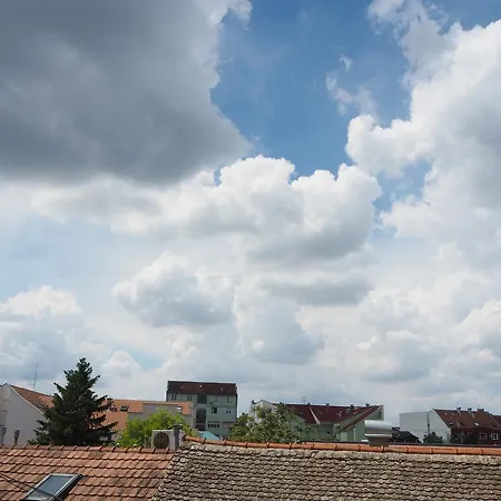 Marija Daire Novi Sad